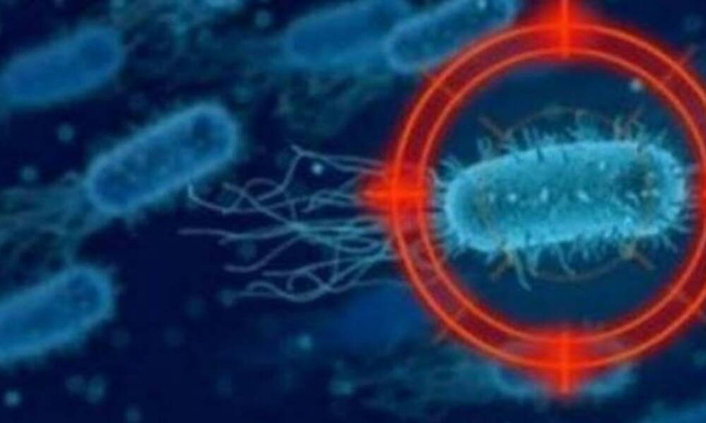 ظهور السلالة الجديدة من فيروس الكورونا وتأثير الطفرات الوراثية