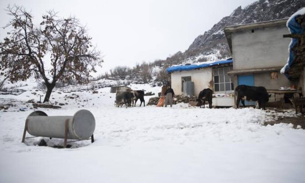 نسبة الثلوج المتساقطة في مناطق بإقليم كوردستان