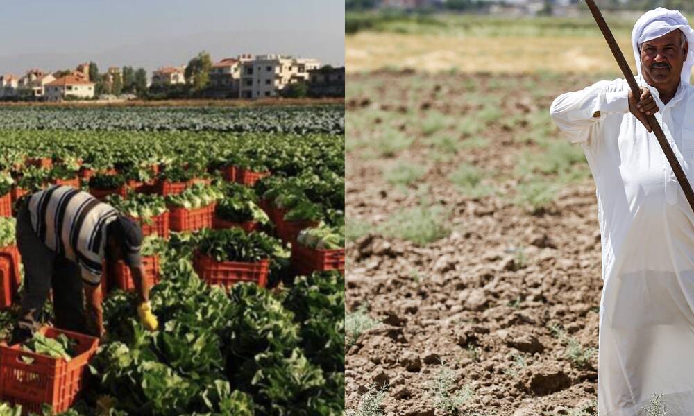 العراق يصدّر مليون طن محاصيل زراعية.. هل هي نهضة خضراء أم أرقام للتسويق السياسي؟