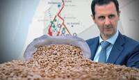 الكبتاغون بعد الأسد.. لماذا يستمر الانتشار رغم سقوط الراعي الأكبر؟
