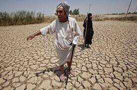 لجنة الزراعة .. تحدد السبب الرئيس وراء ارتفاع درجات الحرارة في العراق